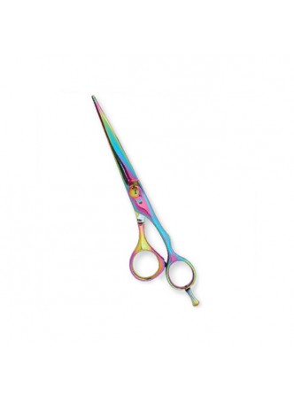 Professional Hair Cutting Scissors